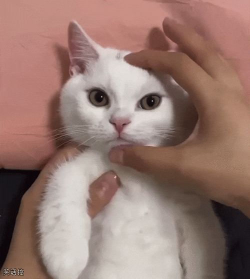 一秒变邪恶