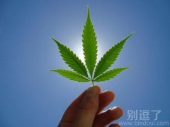 蓝天绿叶 好美好，内涵