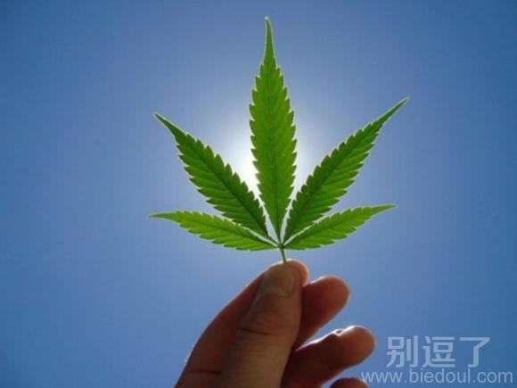 蓝天绿叶 好美好，内涵