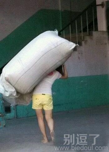 辛苦工作的妹子。