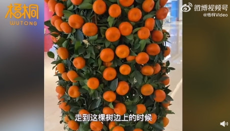 轻松一刻:中国人不骂中国人,除非忍不住 轻松一刻:中国人不骂中国人,除非忍不住