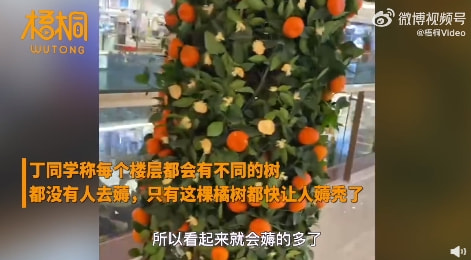 轻松一刻:中国人不骂中国人,除非忍不住 轻松一刻:中国人不骂中国人,除非忍不住
