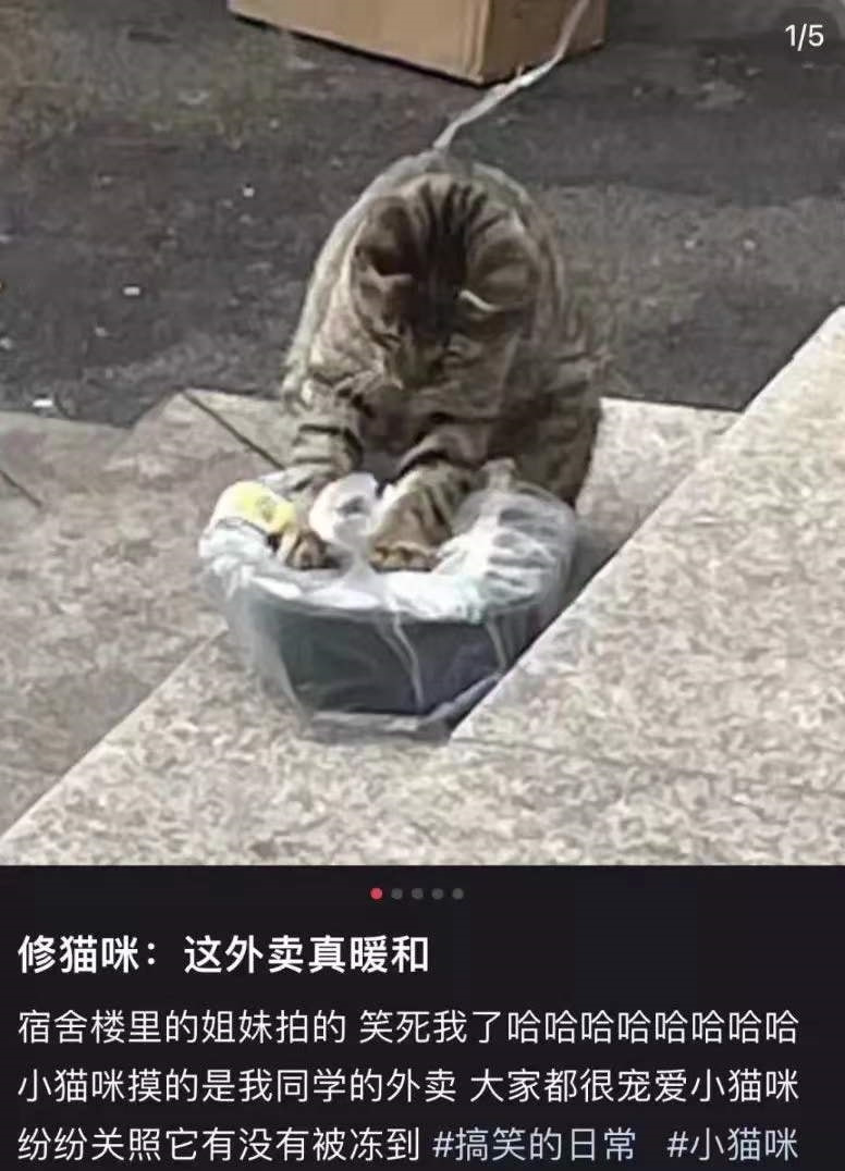 轻松一刻:中国人不骂中国人,除非忍不住 轻松一刻:中国人不骂中国人,除非忍不住