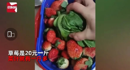 轻松一刻:中国人不骂中国人,除非忍不住 轻松一刻:中国人不骂中国人,除非忍不住