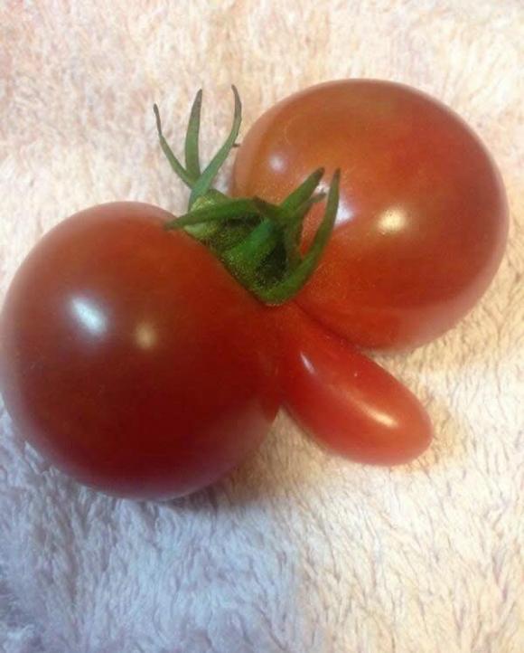 长相畸形变异的水果