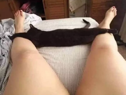 “老婆在超市看见个东西,发来照片说很适合我,我该怎么办啊?”哈哈哈 “老婆在超市看见个东西,发来照片说很适合我,我该怎么办啊?”哈哈哈