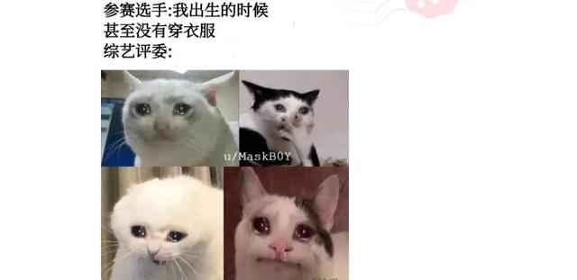 神评论:没有人能拒绝妈妈亲手缝的座椅套,尿素的也还行 神评论:没有人能拒绝妈妈亲手缝的座椅套,尿素的也还行