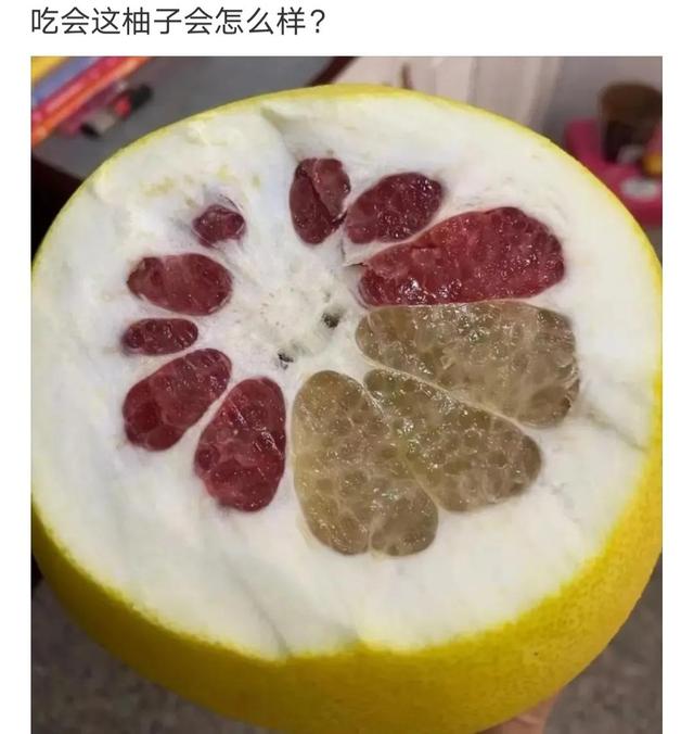 神评论:没有人能拒绝妈妈亲手缝的座椅套,尿素的也还行 神评论:没有人能拒绝妈妈亲手缝的座椅套,尿素的也还行