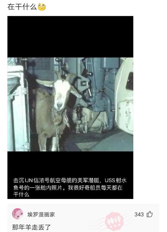神评论:没有人能拒绝妈妈亲手缝的座椅套,尿素的也还行 神评论:没有人能拒绝妈妈亲手缝的座椅套,尿素的也还行