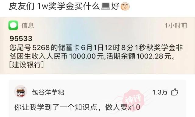 神评论:没有人能拒绝妈妈亲手缝的座椅套,尿素的也还行 神评论:没有人能拒绝妈妈亲手缝的座椅套,尿素的也还行