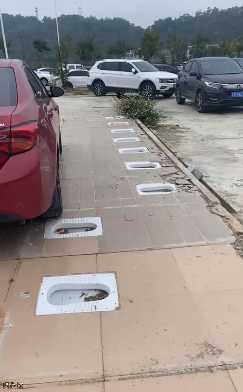 谁能拒绝路边的露天茅坑呢