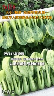 整齐划一 整齐划一