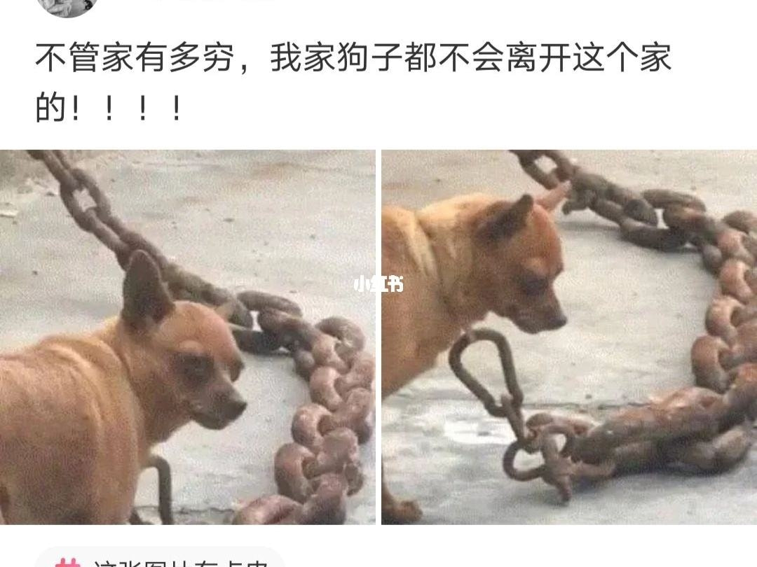轻松一刻:真不介意多一个,你来的正是时候! 轻松一刻:真不介意多一个,你来的正是时候!