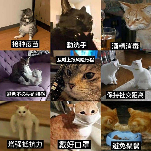 轻松一刻:真不介意多一个,你来的正是时候! 轻松一刻:真不介意多一个,你来的正是时候!