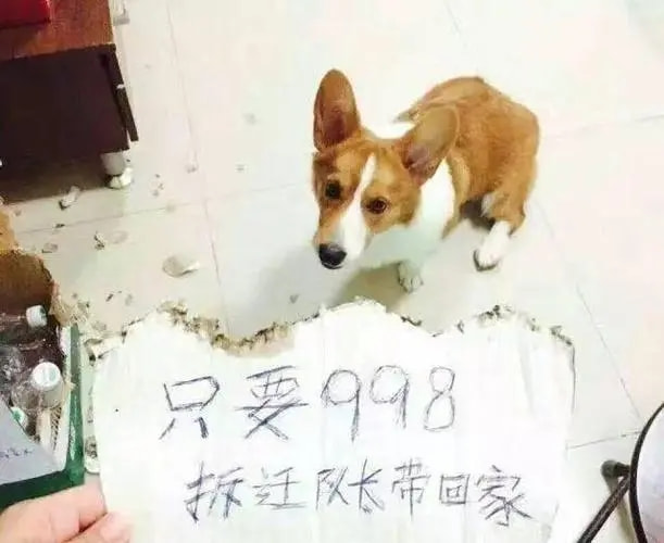 轻松一刻:真不介意多一个,你来的正是时候! 轻松一刻:真不介意多一个,你来的正是时候!