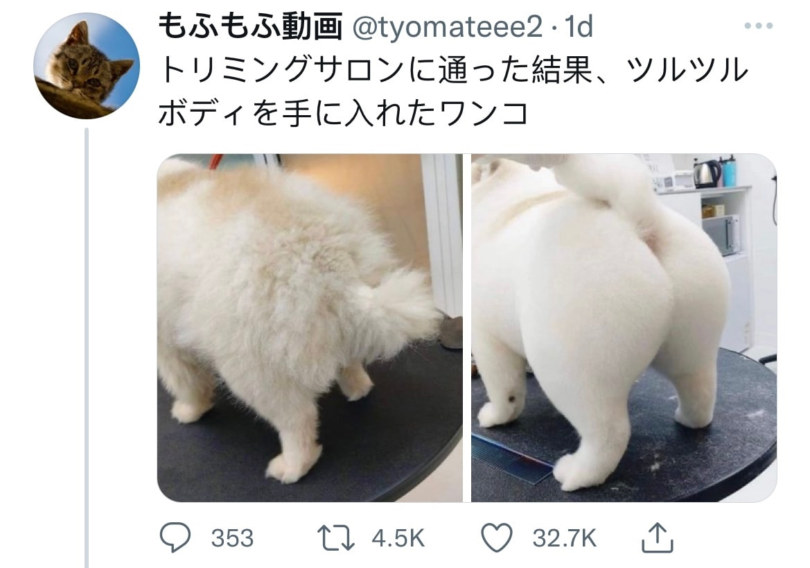 轻松一刻:真不介意多一个,你来的正是时候! 轻松一刻:真不介意多一个,你来的正是时候!