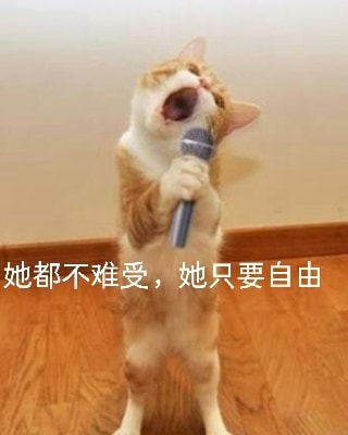 轻松一刻:真不介意多一个,你来的正是时候! 轻松一刻:真不介意多一个,你来的正是时候!