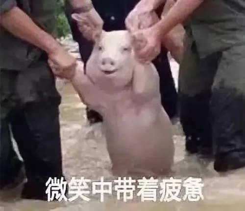 轻松一刻:真不介意多一个,你来的正是时候! 轻松一刻:真不介意多一个,你来的正是时候!