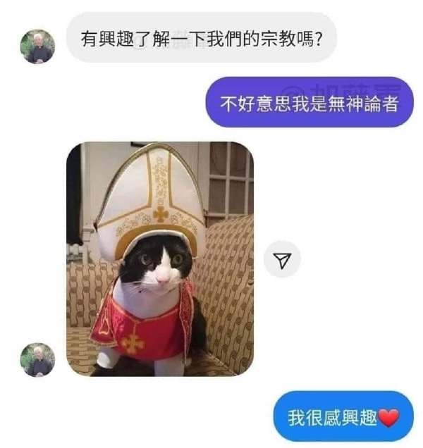 轻松一刻:真不介意多一个,你来的正是时候! 轻松一刻:真不介意多一个,你来的正是时候!