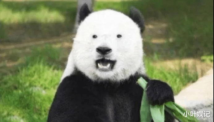 “邻居晒了十五件一模一样的衣服,难道是克隆人?”网友的回复有毒吧 “邻居晒了十五件一模一样的衣服,难道是克隆人?”网友的回复有毒吧