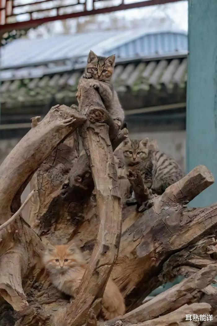 “为了女儿的将来父亲帮她报了舞蹈班!网友:还收人吗?”哈哈哈哈 “为了女儿的将来父亲帮她报了舞蹈班!网友:还收人吗?”哈哈哈哈