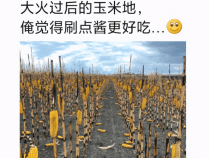 “护士小姐姐你能不能多穿一点啊,搞得我刚缝合的伤口又开了!”哈哈哈 “护士小姐姐你能不能多穿一点啊,搞得我刚缝合的伤口又开了!”哈哈哈