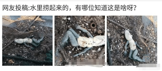 “我从水里捞出来的,这是什么?” “我从水里捞出来的,这是什么?”