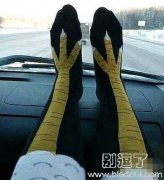 不是嫌弃自己腿粗么？