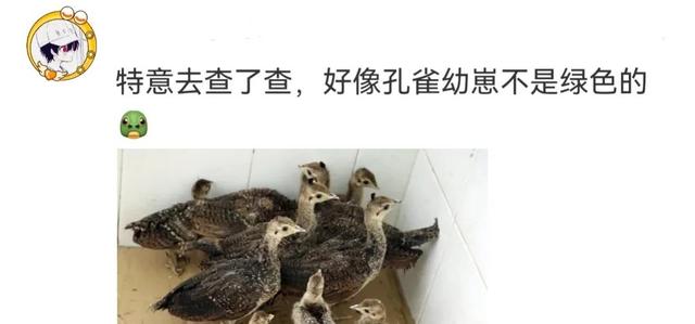 中了大乐透2倍,从一无所有到身家千万,不敢告诉家人和朋友 中了大乐透2倍,从一无所有到身家千万,不敢告诉家人和朋友