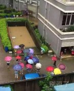 下了一夜的雨，看看车库，车主们一脸懵逼