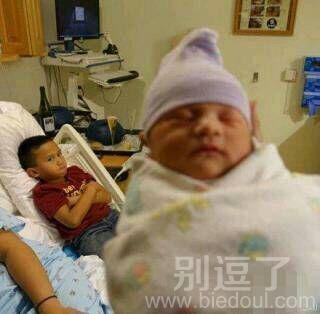 好犀利的眼神啊。 好犀利的眼神啊。