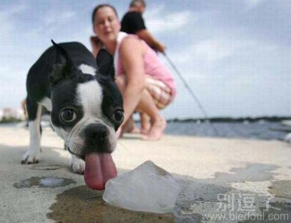 爽么?凉不凉快? 爽么?凉不凉快?