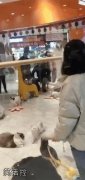 马上就有动物奥运会了