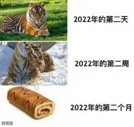 我今年的规划: 我今年的规划:
