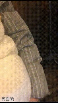 猜这里面是孩子还是一头猫! 猜这里面是孩子还是一头猫!