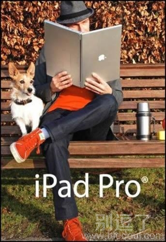 苹果什么时候开始这样用了 苹果什么时候开始这样用了