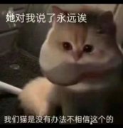 她对我说了永远诶我们猫是没有办法不相信这个的