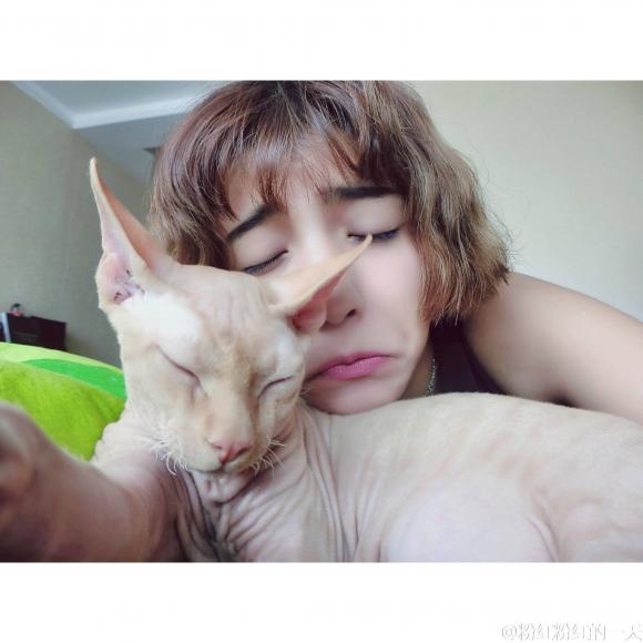 失恋好伤心还好有猫陪