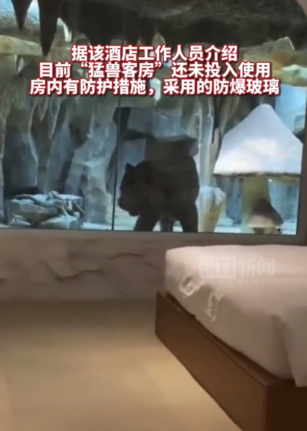轻松一刻:男子连砸7间寺庙,原因令人匪夷所思! 轻松一刻:男子连砸7间寺庙,原因令人匪夷所思!