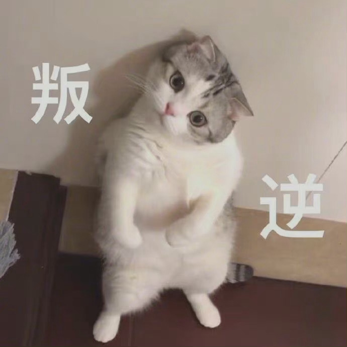 轻松一刻:男子连砸7间寺庙,原因令人匪夷所思! 轻松一刻:男子连砸7间寺庙,原因令人匪夷所思!