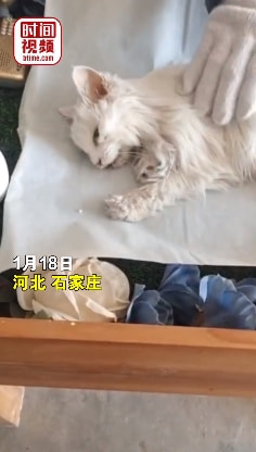 轻松一刻:男子连砸7间寺庙,原因令人匪夷所思! 轻松一刻:男子连砸7间寺庙,原因令人匪夷所思!