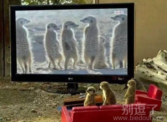 我是不是上电视了 我是不是上电视了