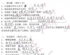 高中考最奇葩的学生作答