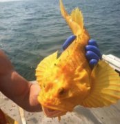 快来帮我实现愿望 快来帮我实现愿望