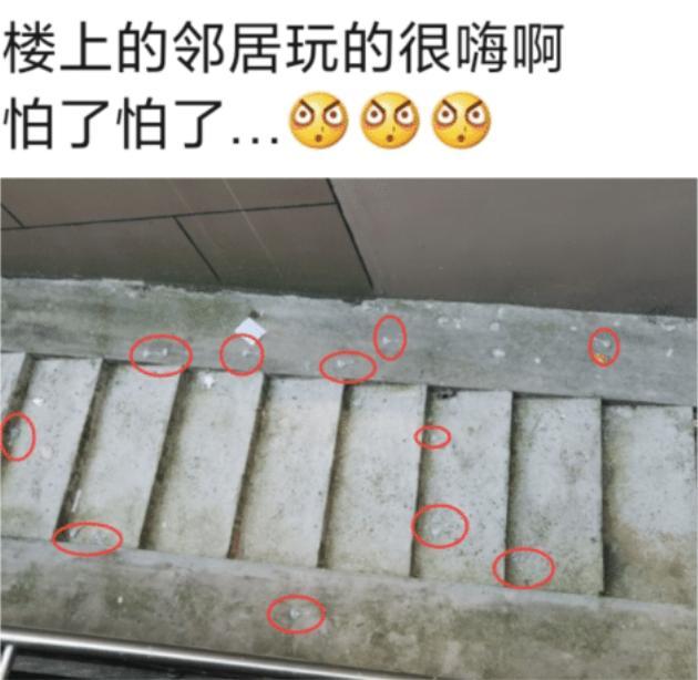 “楼上的邻居玩的挺嗨啊,一看就是肛肠科vip用户了!”哈哈哈哈 “楼上的邻居玩的挺嗨啊,一看就是肛肠科vip用户了!”哈哈哈哈