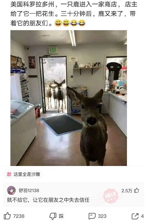 神回复:就你一个月三千块的臭屌丝,也配跟我表白 神回复:就你一个月三千块的臭屌丝,也配跟我表白