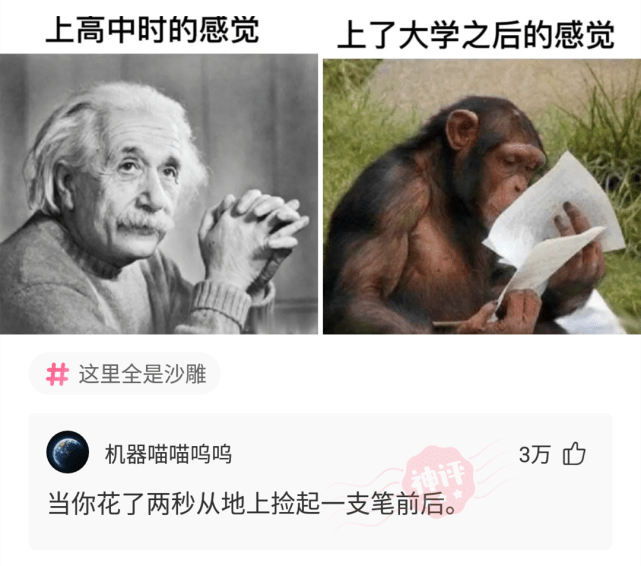 神回复:就你一个月三千块的臭屌丝,也配跟我表白 神回复:就你一个月三千块的臭屌丝,也配跟我表白