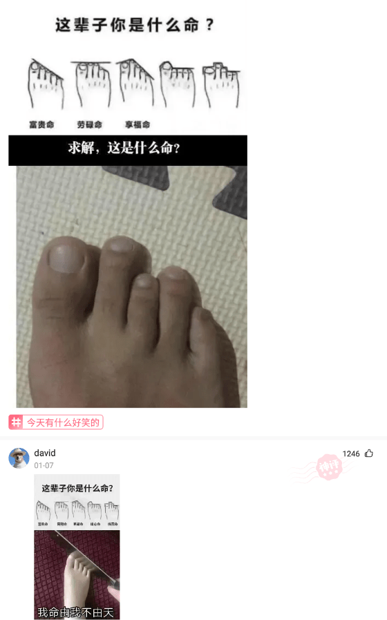 神回复:就你一个月三千块的臭屌丝,也配跟我表白 神回复:就你一个月三千块的臭屌丝,也配跟我表白
