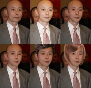 恶搞明星脸蛋,凤姐和葛优那个更有可塑性。