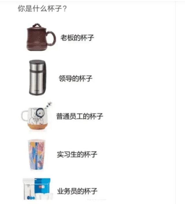 “你用什么杯子,暴露了你是什么工作职位?”神评太真实!哈哈哈 “你用什么杯子,暴露了你是什么工作职位?”神评太真实!哈哈哈